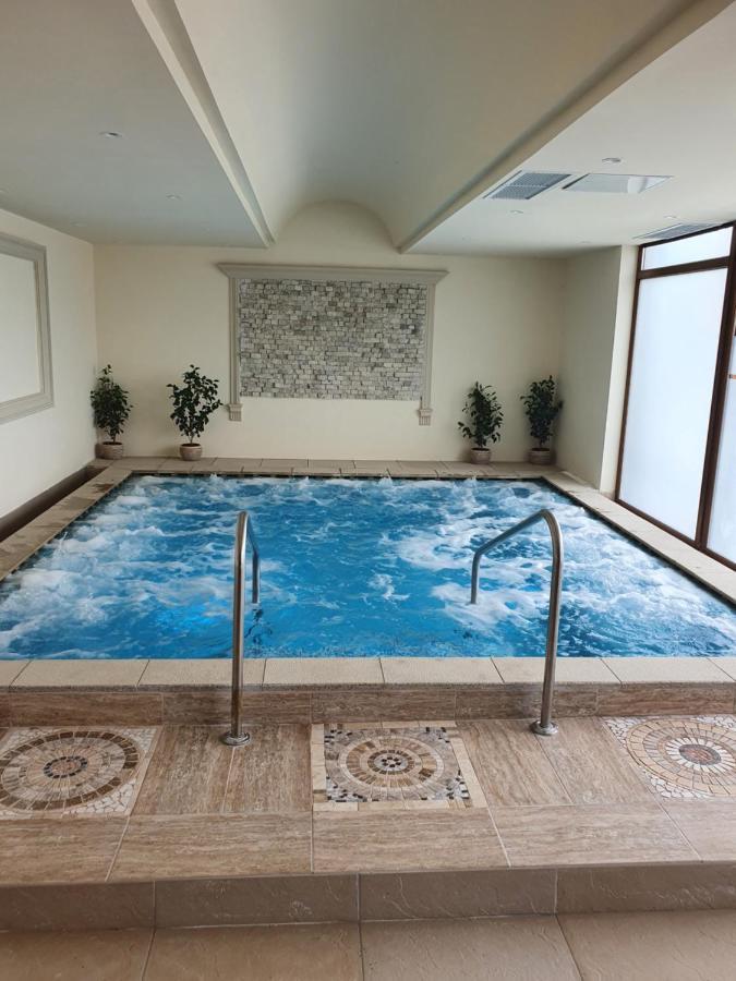 Anette Resort & Spa Covaci Buitenkant foto