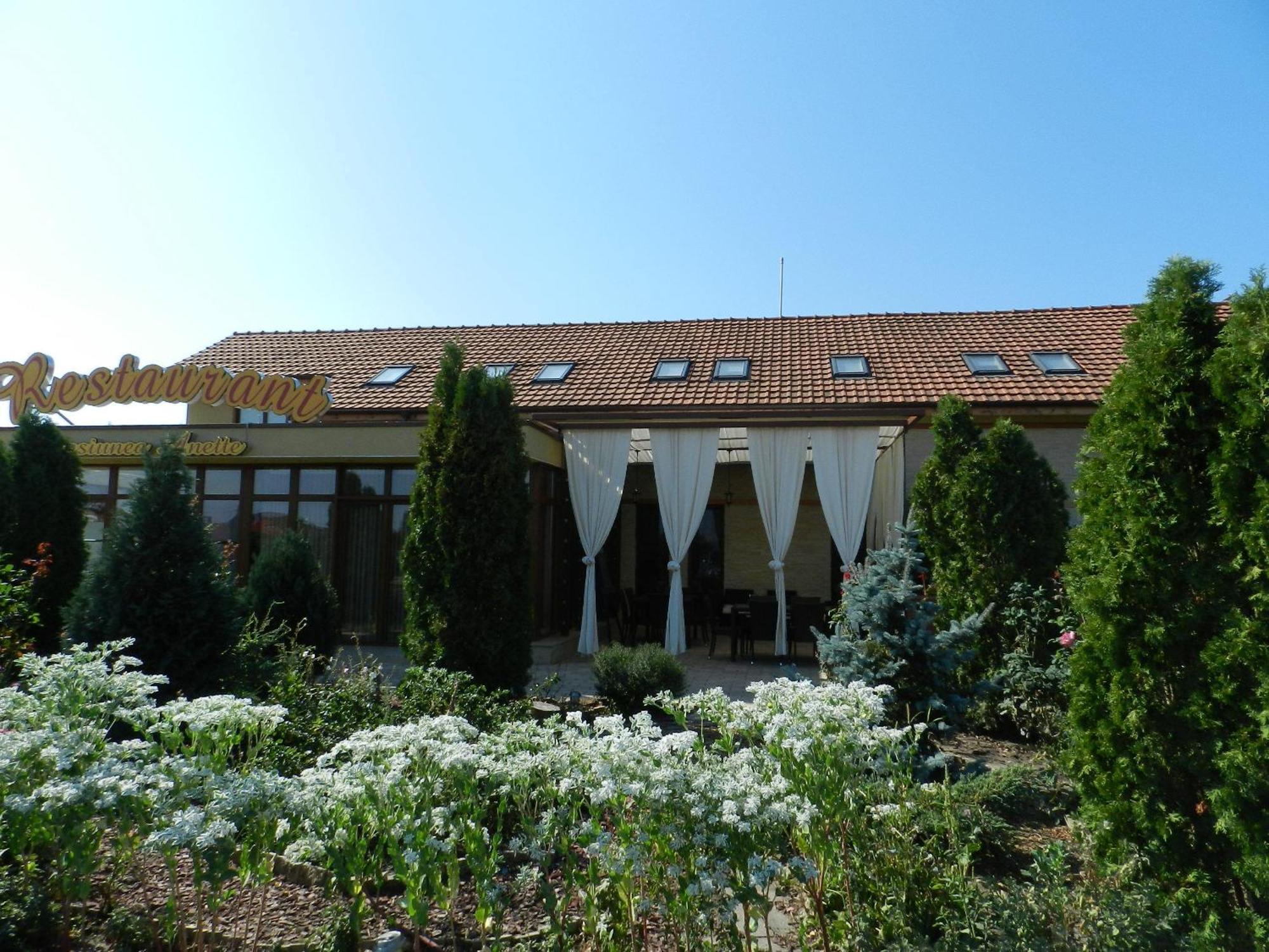 Anette Resort & Spa Covaci Buitenkant foto