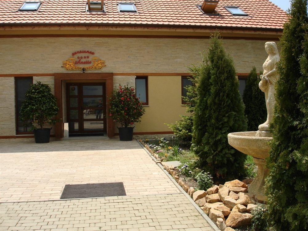 Anette Resort & Spa Covaci Buitenkant foto