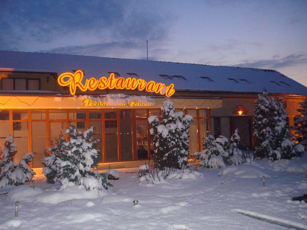 Anette Resort & Spa Covaci Buitenkant foto