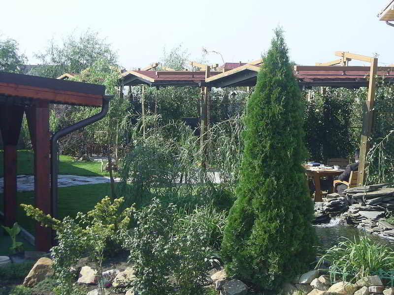 Anette Resort & Spa Covaci Buitenkant foto
