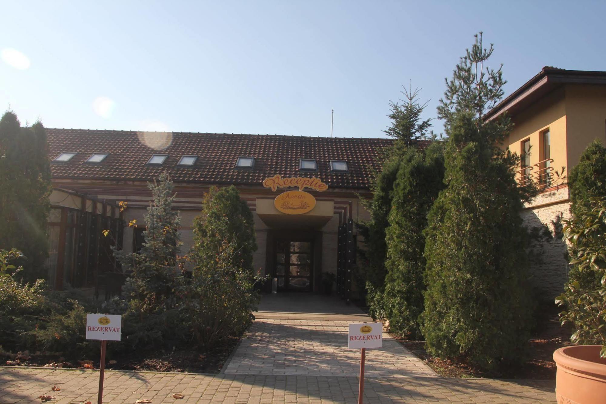 Anette Resort & Spa Covaci Buitenkant foto